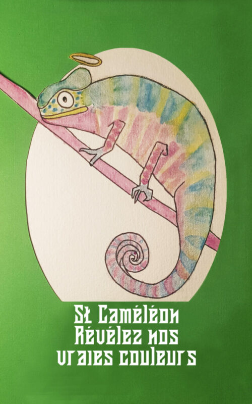 cameleon bd