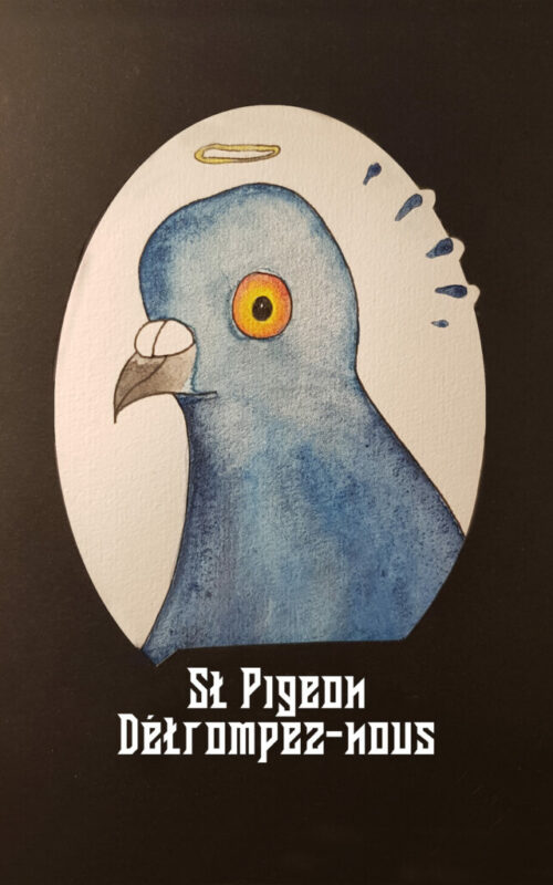 pigeon 1 bd