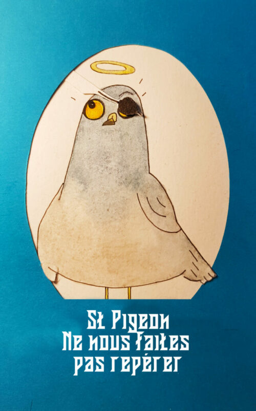 pigeon 2