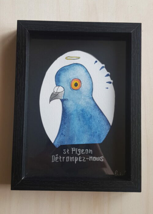10 pigeon premier