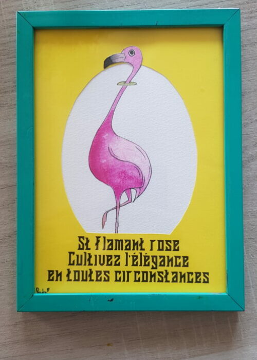 31 flamant élegance loin