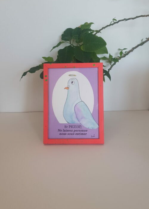 32 pigeon sous estimé loin