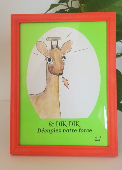 43. Dikdik