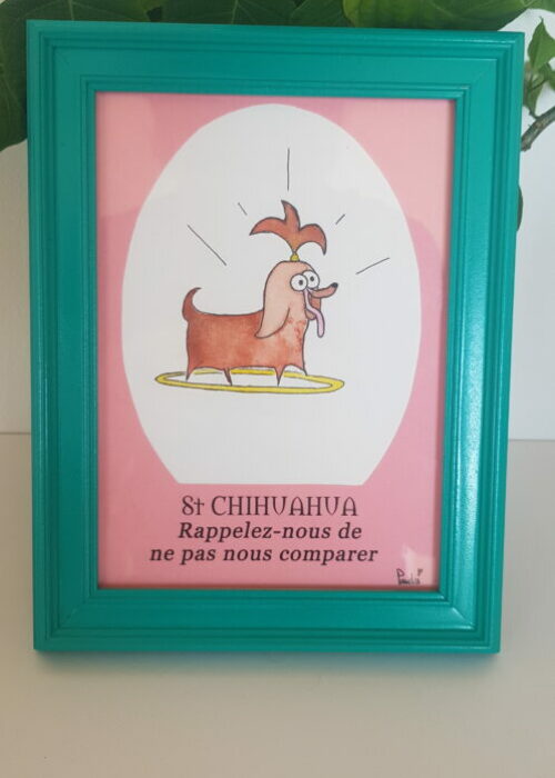 45 chihuahua proche