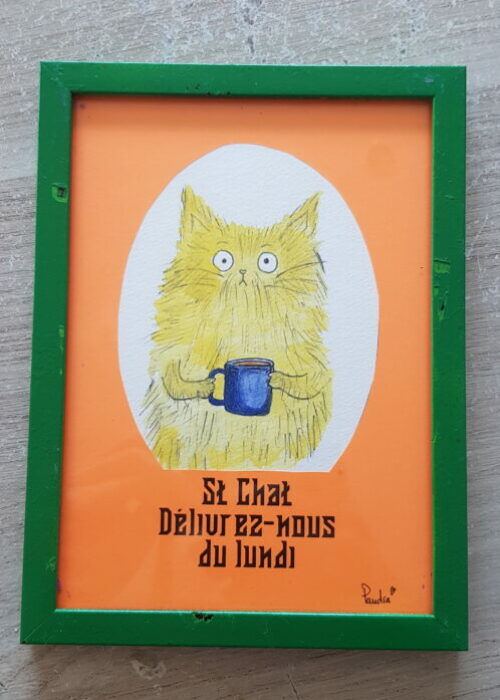 50. Chat lundi cadre