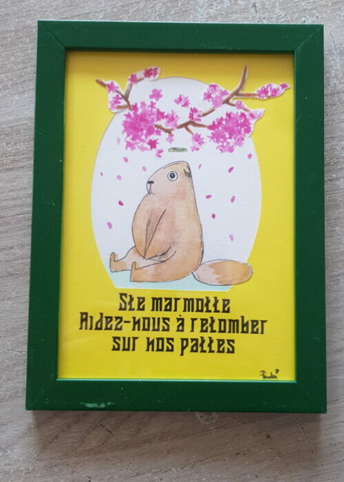55. Marmotte cadre