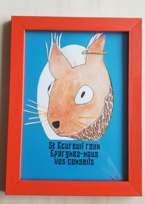 62. ecureuil conseil