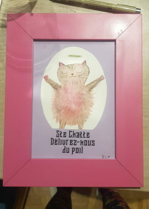 63. Chatte poil cadre