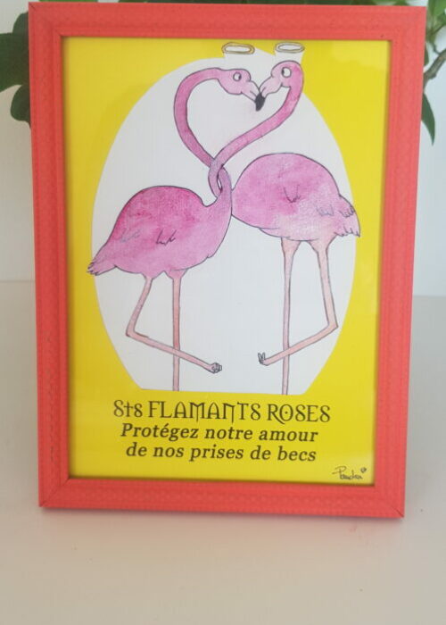 67. Flamants prises de bec cadre proche