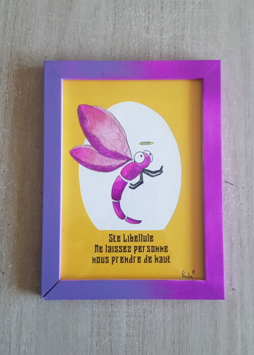 72. Libellule de haut