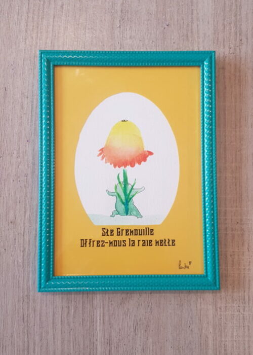 85 Grenouille raie nette